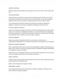 Ciclos economicos en chile Siglo XIX