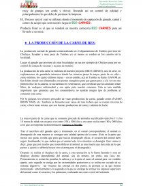 PROYECTO: BIO CARNES “NO SOMOS COMPETENCIA SOMOS PREFERENCIA”. Página 26
