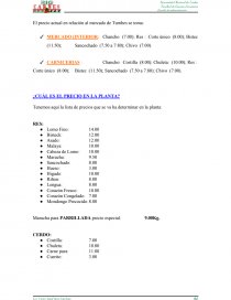 PROYECTO: BIO CARNES “NO SOMOS COMPETENCIA SOMOS PREFERENCIA”. Página 21