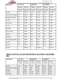PROYECTO: BIO CARNES “NO SOMOS COMPETENCIA SOMOS PREFERENCIA”. Página 14