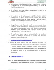 PROYECTO: BIO CARNES “NO SOMOS COMPETENCIA SOMOS PREFERENCIA”. Página 12