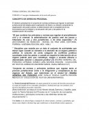 TEORIA GENERAL DEL PROCESO UNIDAD 6. Conceptos fundamentales de la teoría del proceso