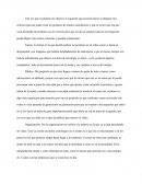 Creacion de criterios del proyecto personal