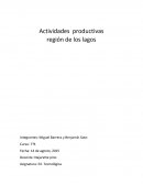 Actividad economica. Actividades productivas región de Los Lagos