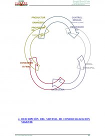 PROYECTO: BIO CARNES “NO SOMOS COMPETENCIA SOMOS PREFERENCIA”. Página 24
