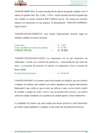 PROYECTO: BIO CARNES “NO SOMOS COMPETENCIA SOMOS PREFERENCIA”. Página 43