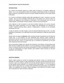 Comercio internacional. Proceso de producción de la miel