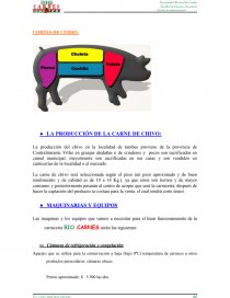 PROYECTO: BIO CARNES “NO SOMOS COMPETENCIA SOMOS PREFERENCIA”. Página 29