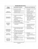 NECESIDADES EDUCATIVAS Jardín de niños “Juana Inés de la Cruz”