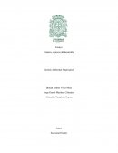 Cantera, el precio del desarrollo