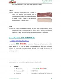 PROYECTO: BIO CARNES “NO SOMOS COMPETENCIA SOMOS PREFERENCIA”. Página 39