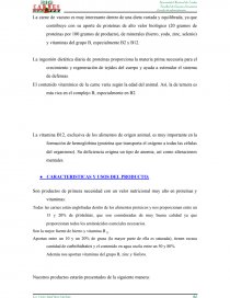 PROYECTO: BIO CARNES “NO SOMOS COMPETENCIA SOMOS PREFERENCIA”. Página 6