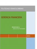Gerencia Financiera