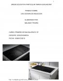 LAS COCINAS DE INDUCCION