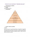 PROYECTO DE INVERSION “MADAME MOUSSE”