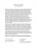 Resumen entre la luz y la sombra