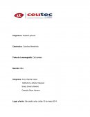 Monografia call centers