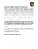 Informe de gobierno analisis