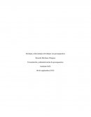 Ventajas y desventajas al trabajar con presupuestos
