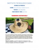 Desarrollo de productos