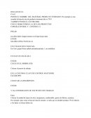 SAPP HOJQ DE RUTA MB51