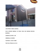 PROYECTO NTONIO QUIROGA 118 FRACC. REAL DEL QUIROGA SECCION MADRIGAL