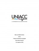 Trabajo de Planificación Agregada