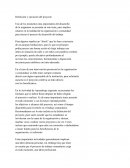 Definición y ejecución del proyecto