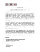 MITOSIS EN MERISTEMO DE CEBOLLA