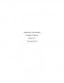 Segmentación y Posicionamiento Estrategias de Marketing