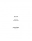 Como es la Relación entre la misión de la empresa con el marketing