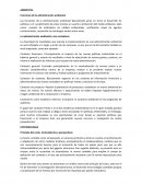 Resumen teoria contable