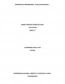 DIAGNOSTICO EMPRESARIAL “EVALUACION INICIAL