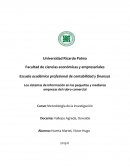 Los sistemas de información en las pequeñas y medianas empresas del rubro comercial