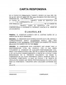 Carta Responsiva