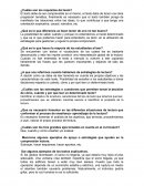 IMPORTANCIA DEL TEXTO