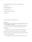 EL NUEVO CENTRO DE BACHILLERATO TEGNOLOGICO Y DE SERVICIOS # 269