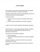 Ciclo celular y mitosis