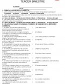 Examen de primer biemestre de español 1