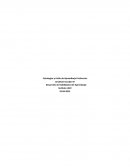 Estrategias y Estilo de Aprendizaje Preferente,Desarrollo de Habilidades del Aprendizaje