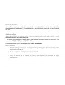 Planificación de auditoría