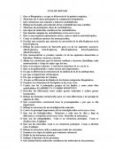 Taller sistema nervioso