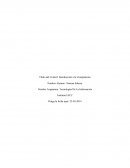 CONTROL 1 DE INFORMÁTICA Y COMUNICACIONES