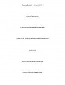 Cuaderno 2 Proyectos de inversion