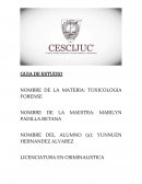 LICENCIATURA EN CRIMINALISTICA SEXTO CUATRIMESTRE