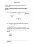 EVALUACIONES SOCIALES Responder las preguntas 1 y 2 de acuerdo al siguiente enunciado