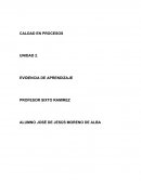 CALDAD EN PROCESOS