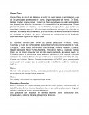 Gerdau Diaco analisis de la empresa