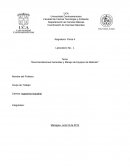 Laboratorio fisica 1