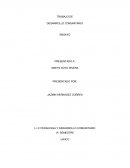 Ensayo desarrolo comunitario